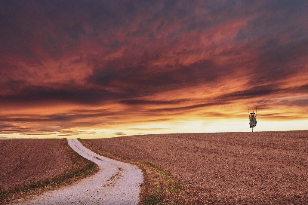 landscape, field, fantasy